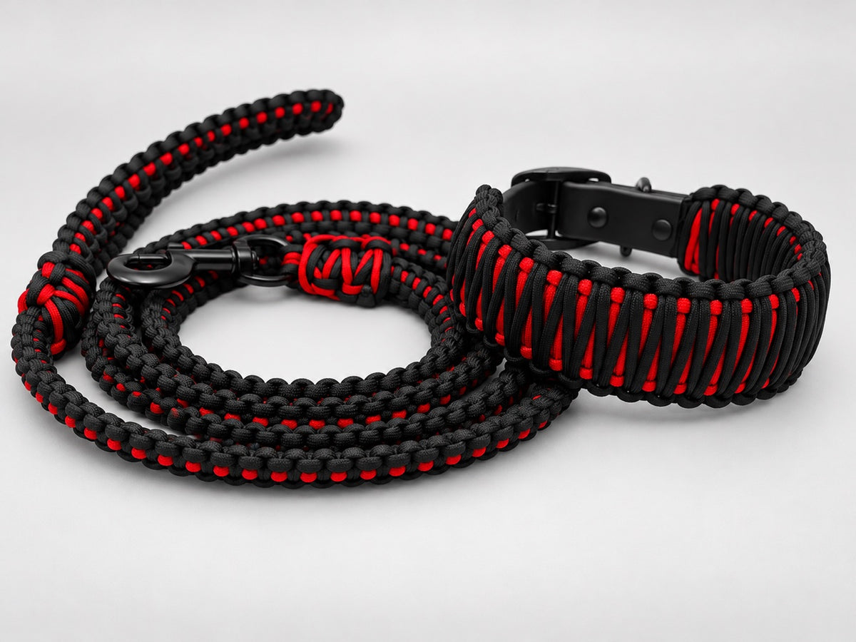 Black Widow full set — leash and collar in black paracord with red core