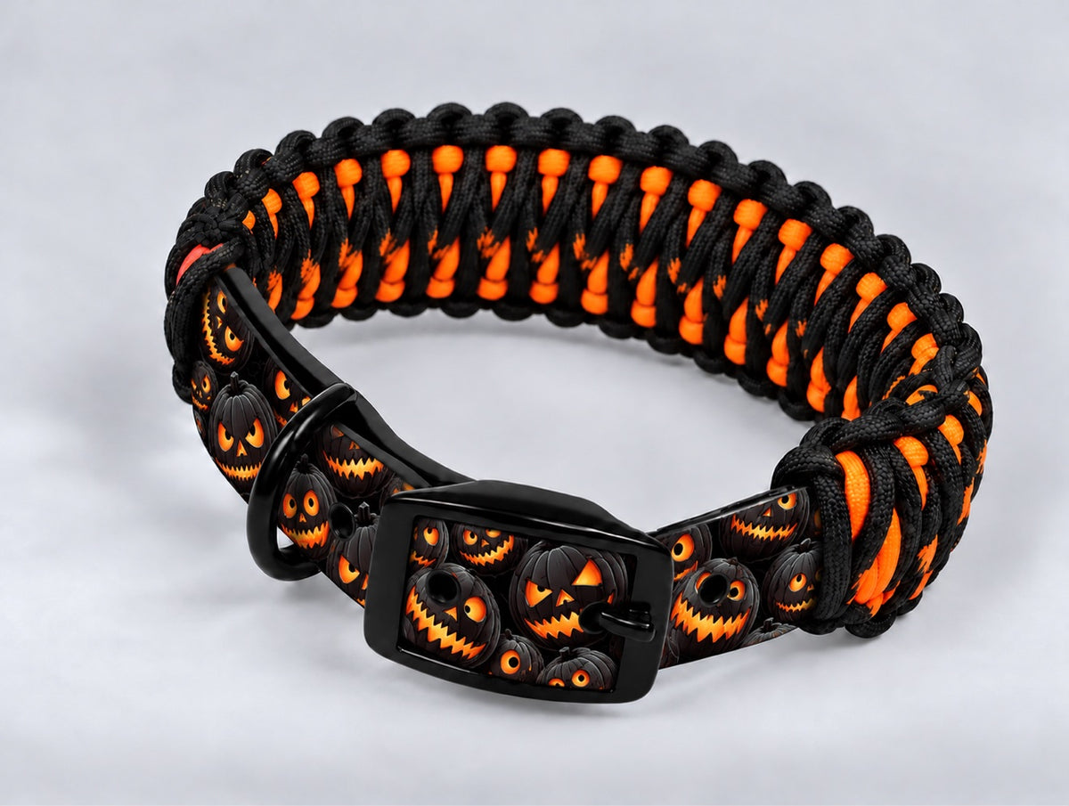 Custom UV-Printed Collar
