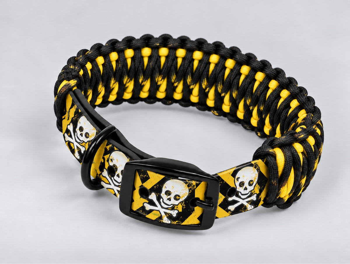 Custom UV-Printed Collar