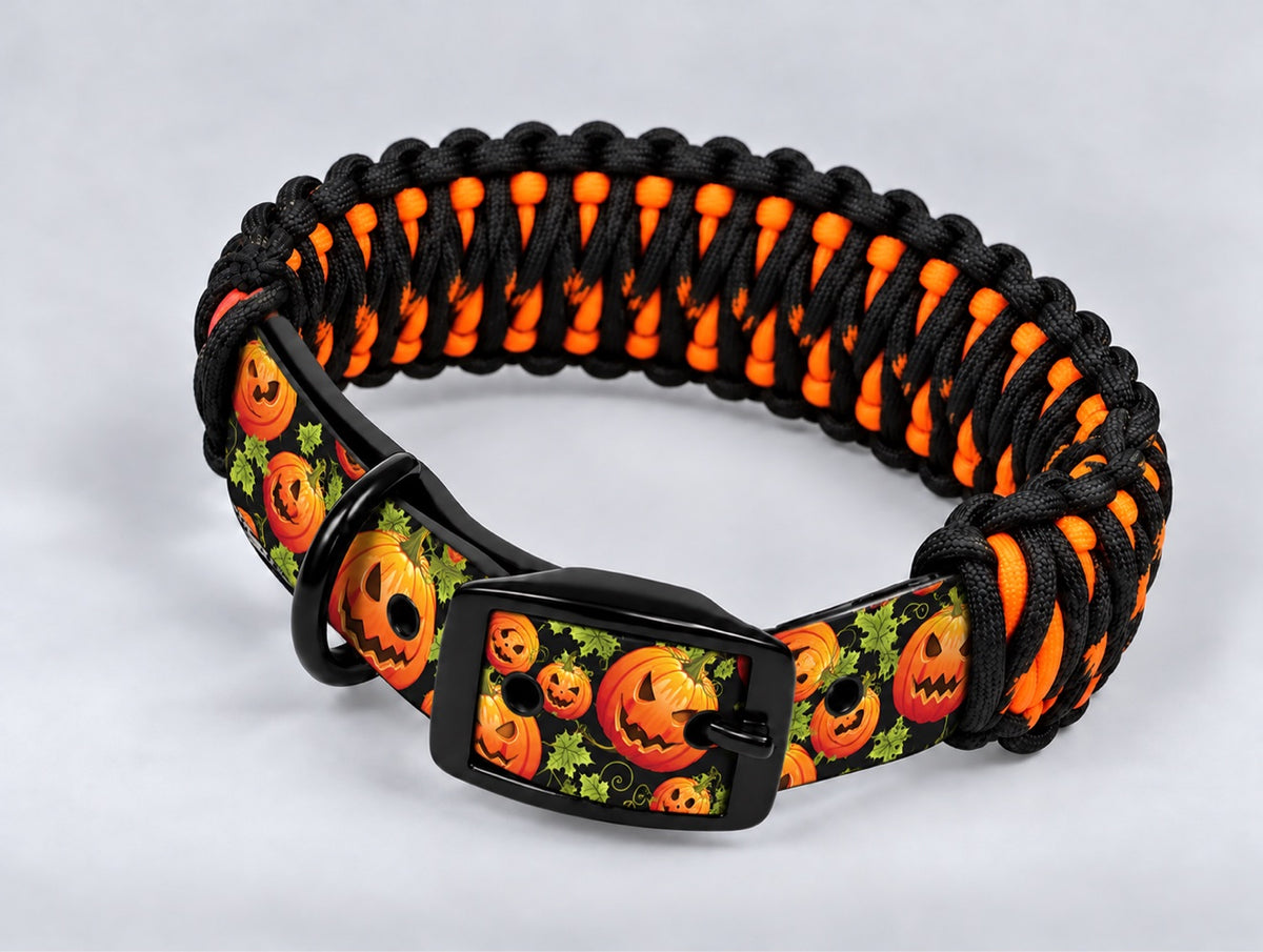 Custom UV-Printed Collar