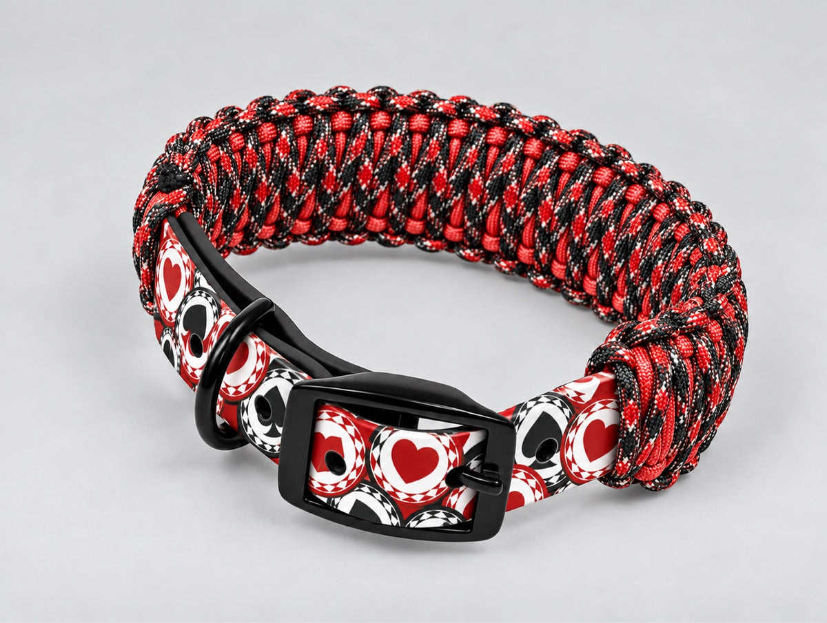 Custom UV-Printed Collar
