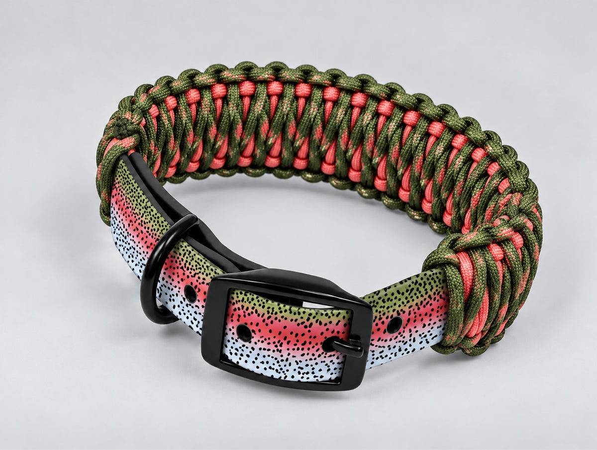 Custom UV-Printed Collar