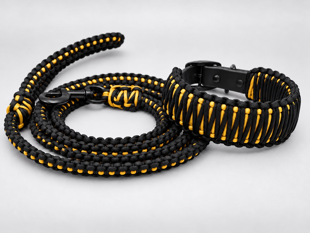 Brasswood matching leash and collar set — black and gold paracord