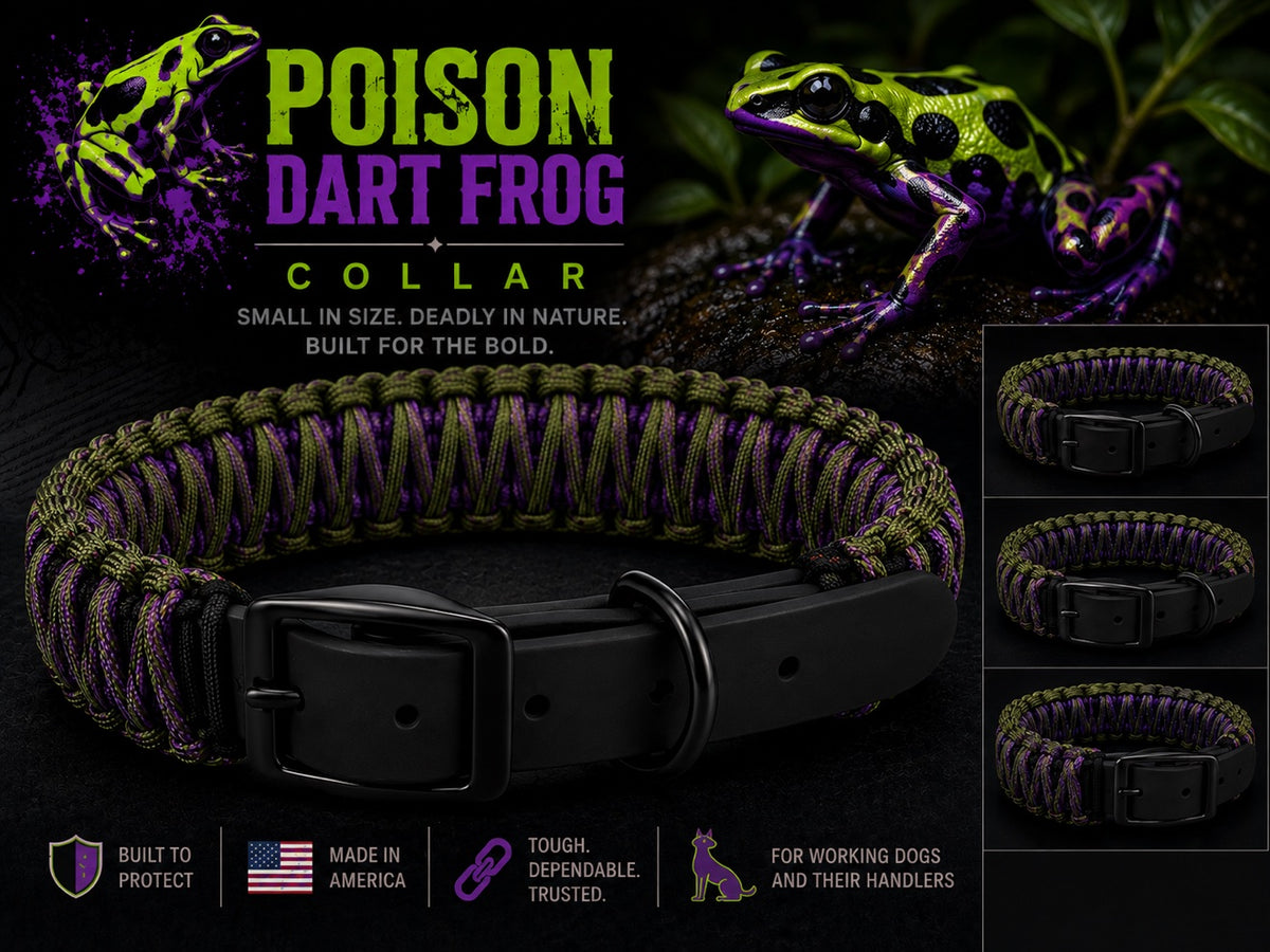 Poison Dart Frog paracord collar design
