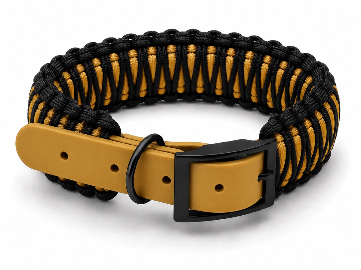 Black and gold paracord collar with gold biothane