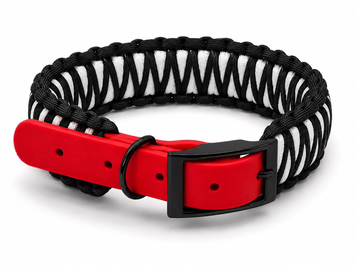 Black and white paracord collar with red biothane