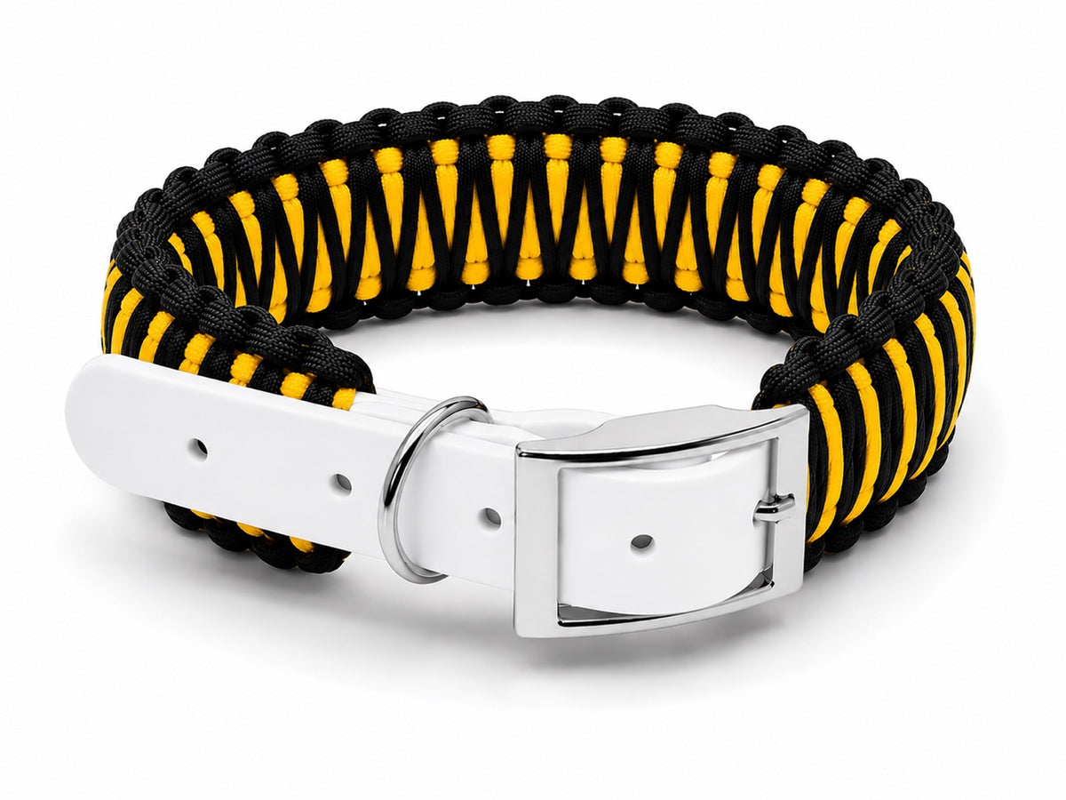 Black and yellow paracord collar with white biothane