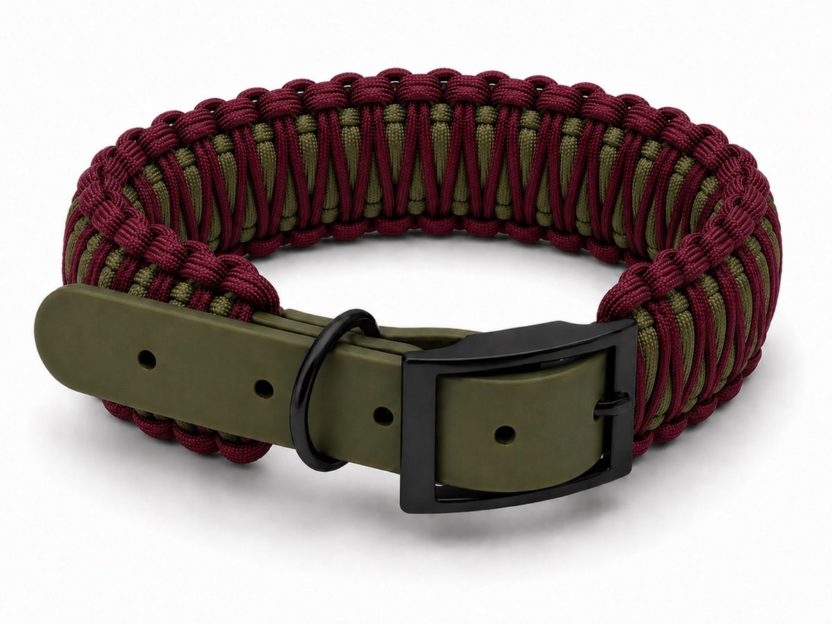 Burgundy and olive paracord collar with olive biothane