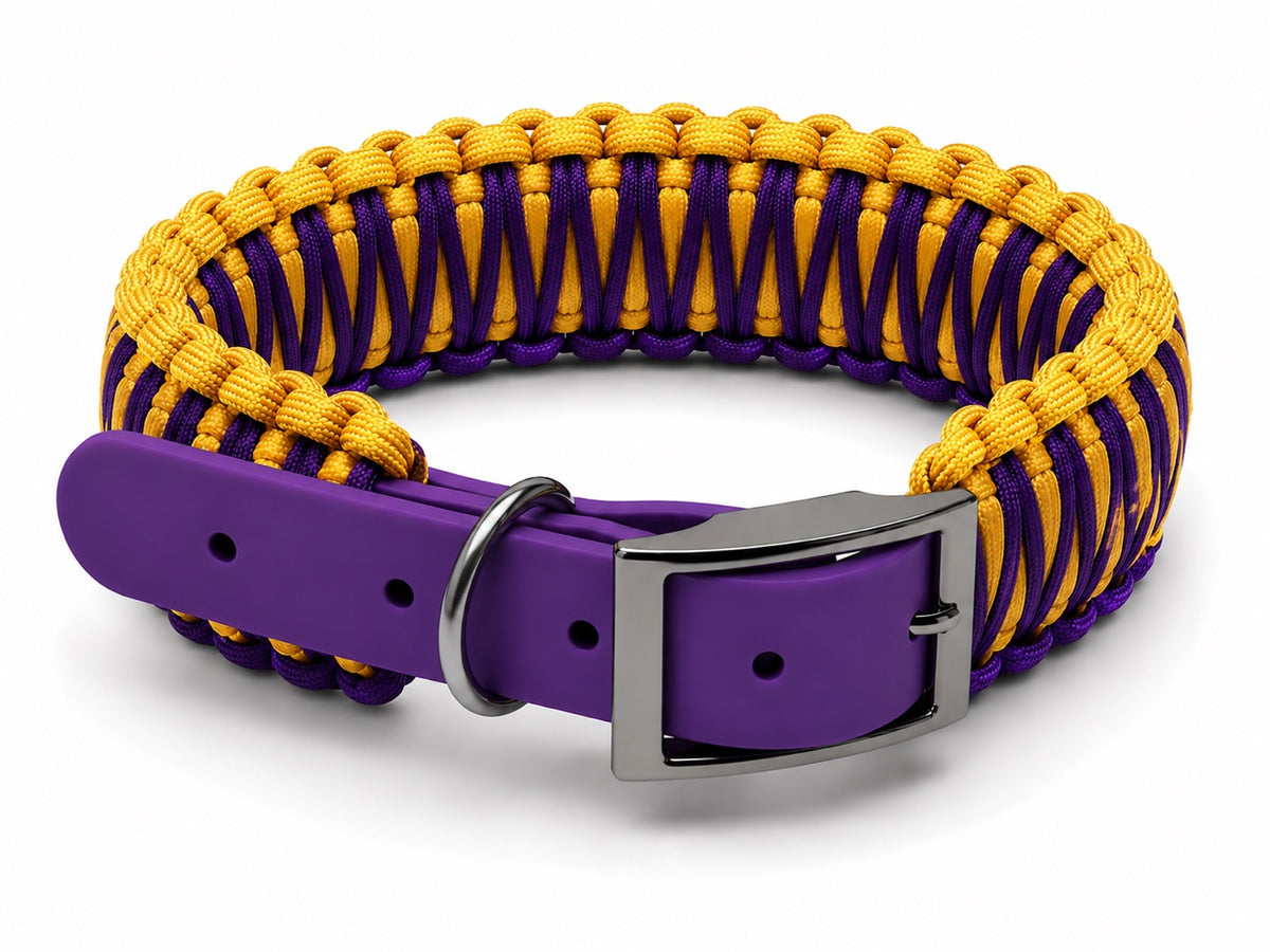 Gold and purple paracord collar with purple biothane