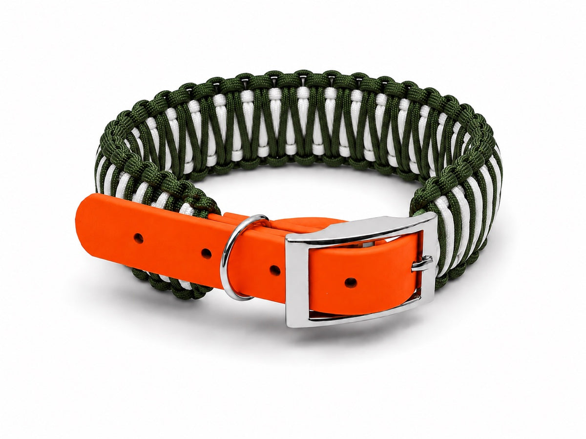 Green and white paracord collar with orange biothane