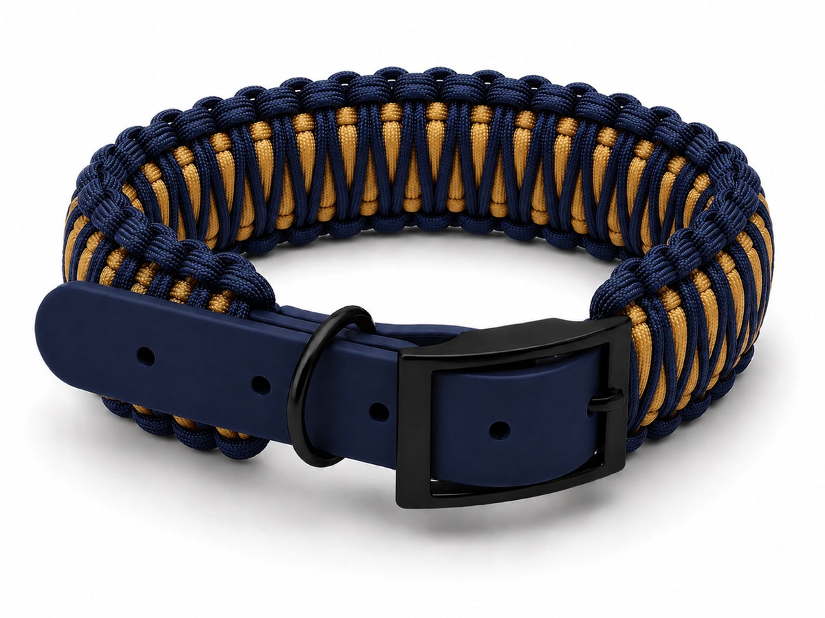 Navy and gold paracord collar with navy biothane