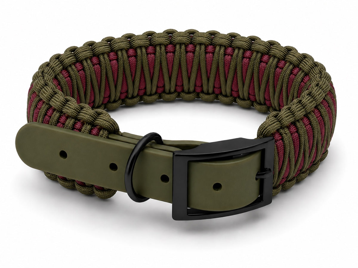 Olive and burgundy paracord collar with olive biothane
