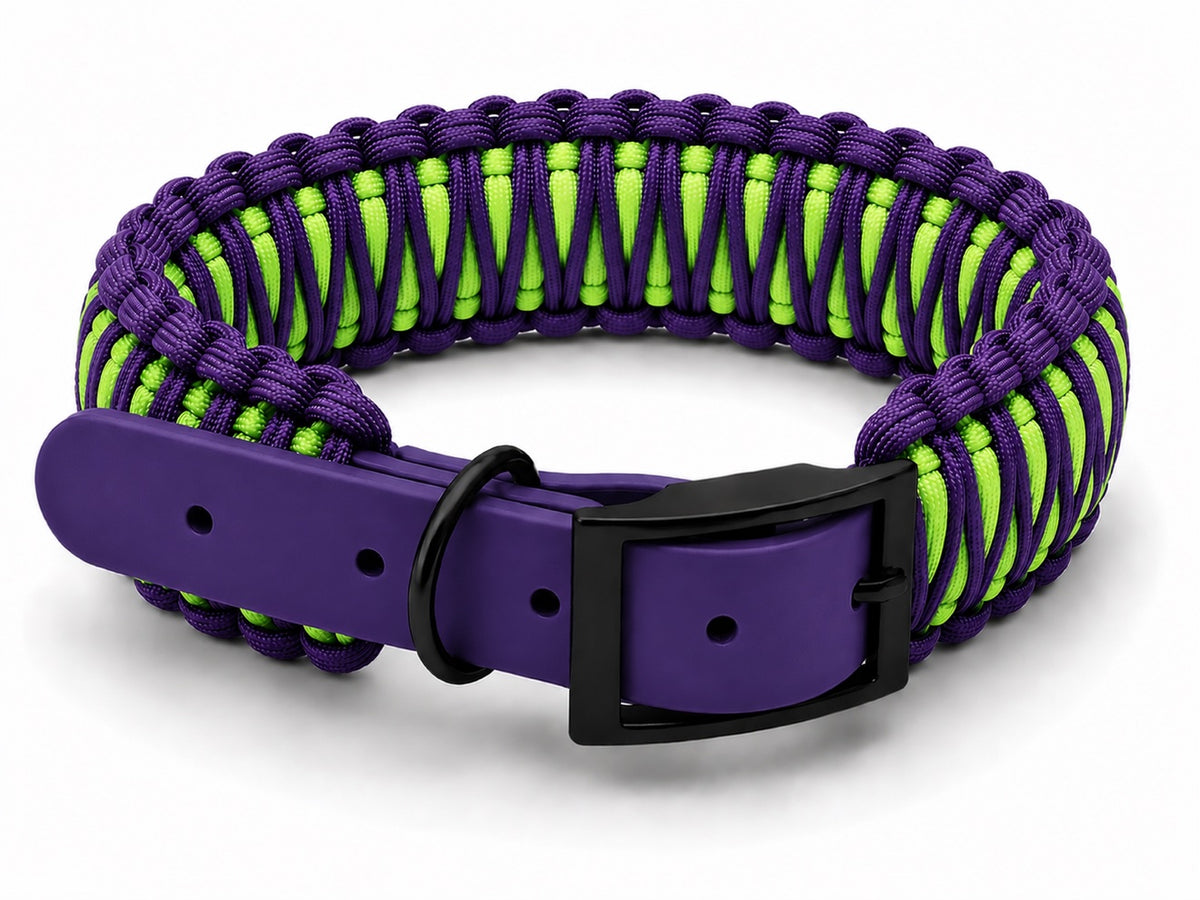 Purple and neon green paracord collar with purple biothane