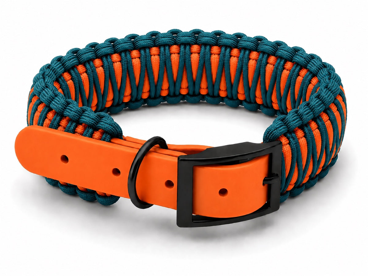 Teal and orange paracord collar with orange biothane