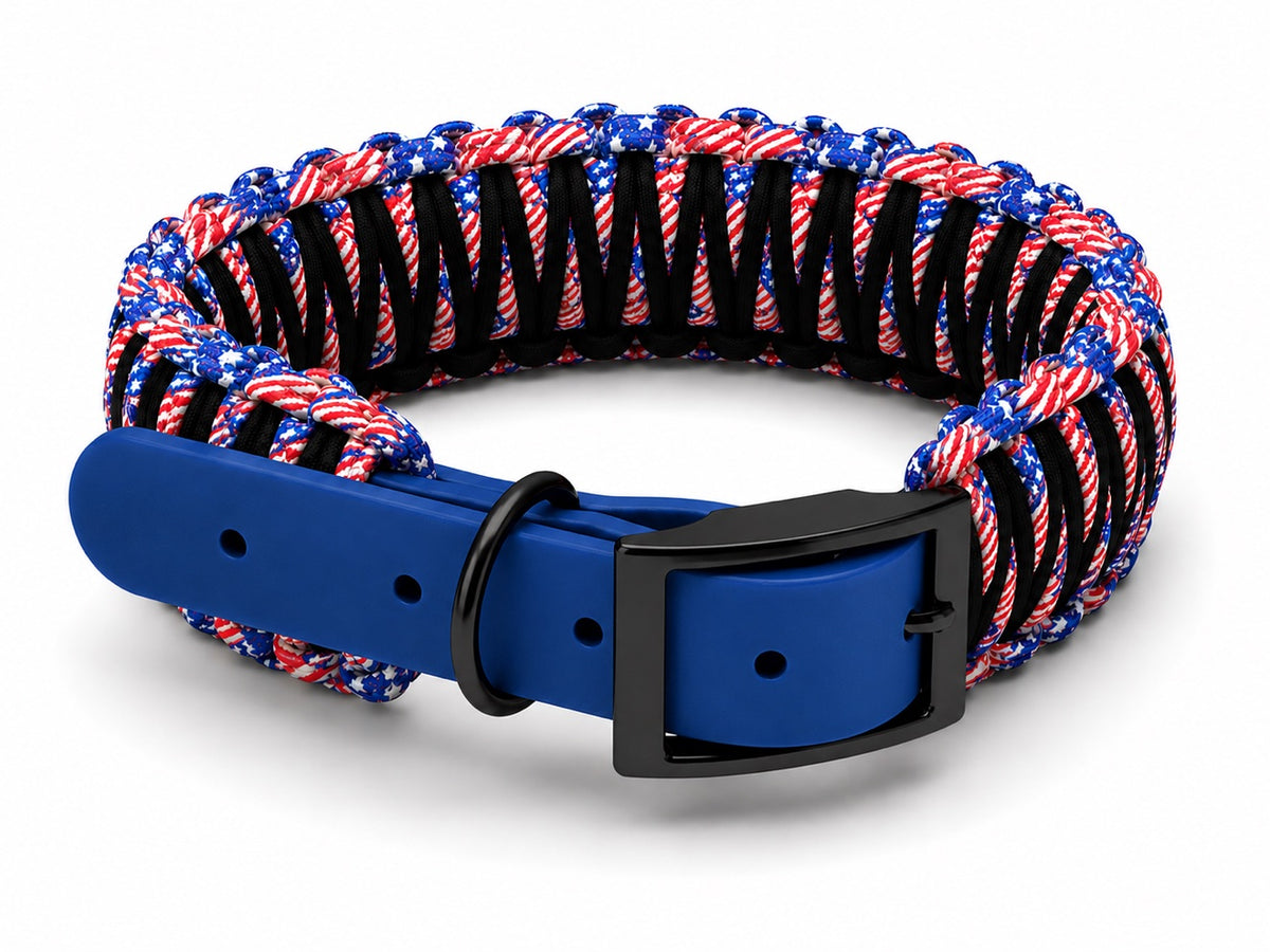 American flag paracord collar with blue biothane