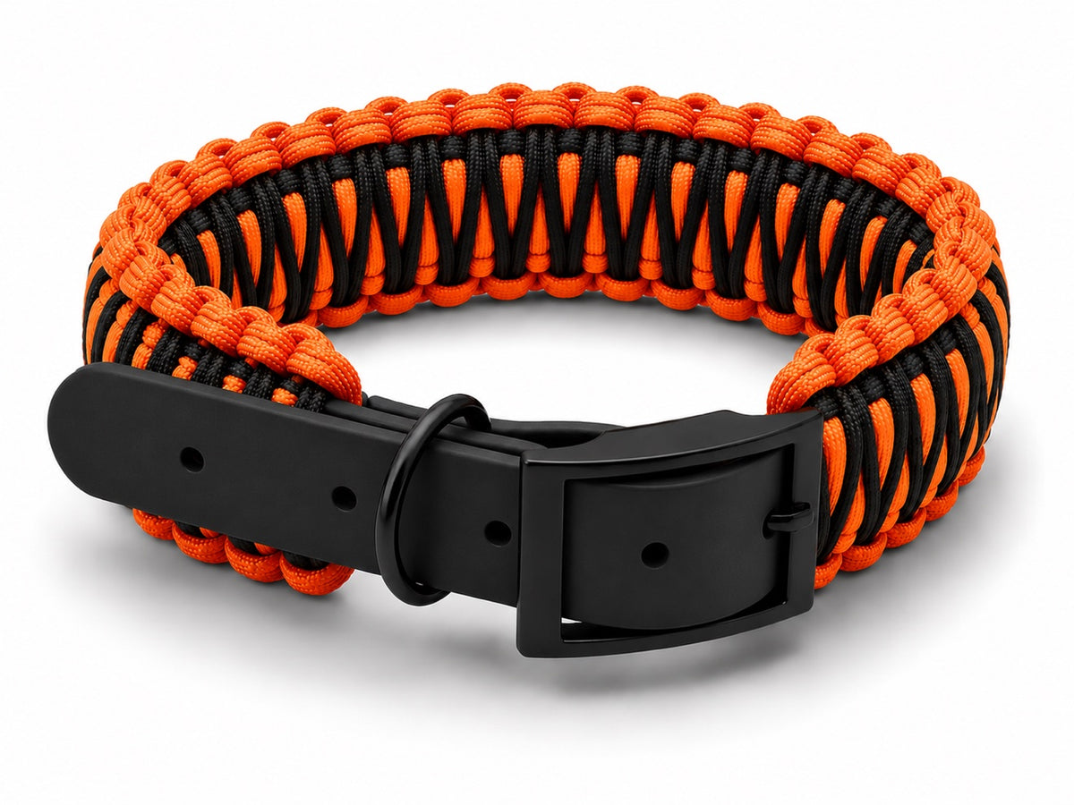 Orange and black paracord collar