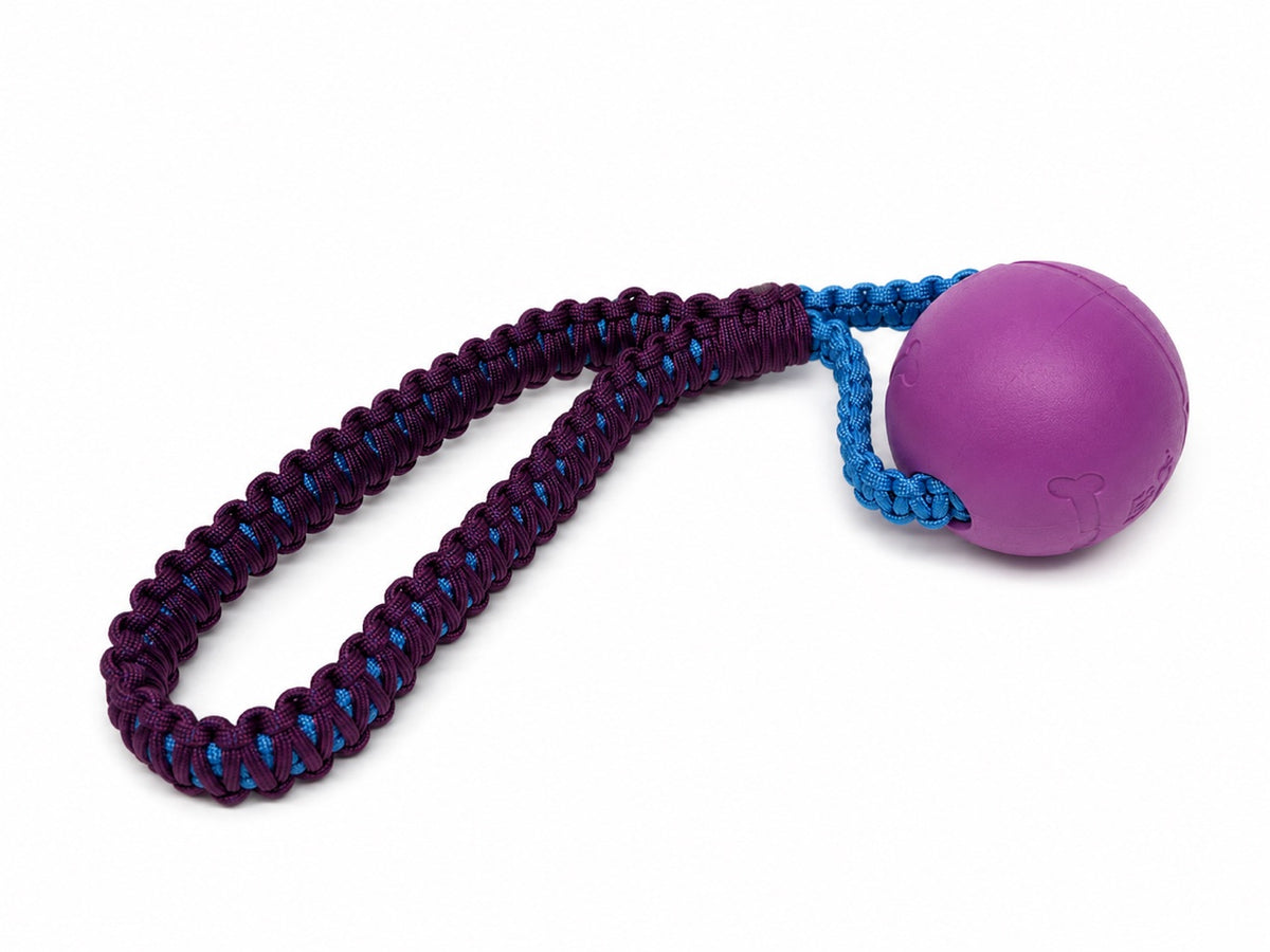 Purple and blue paracord tug toy with purple ball