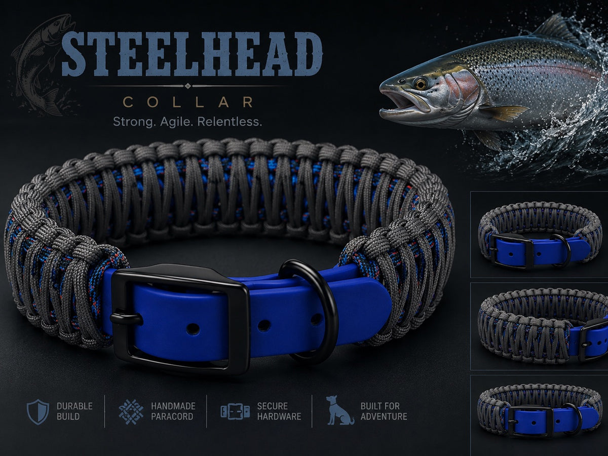 Steelhead paracord collar design